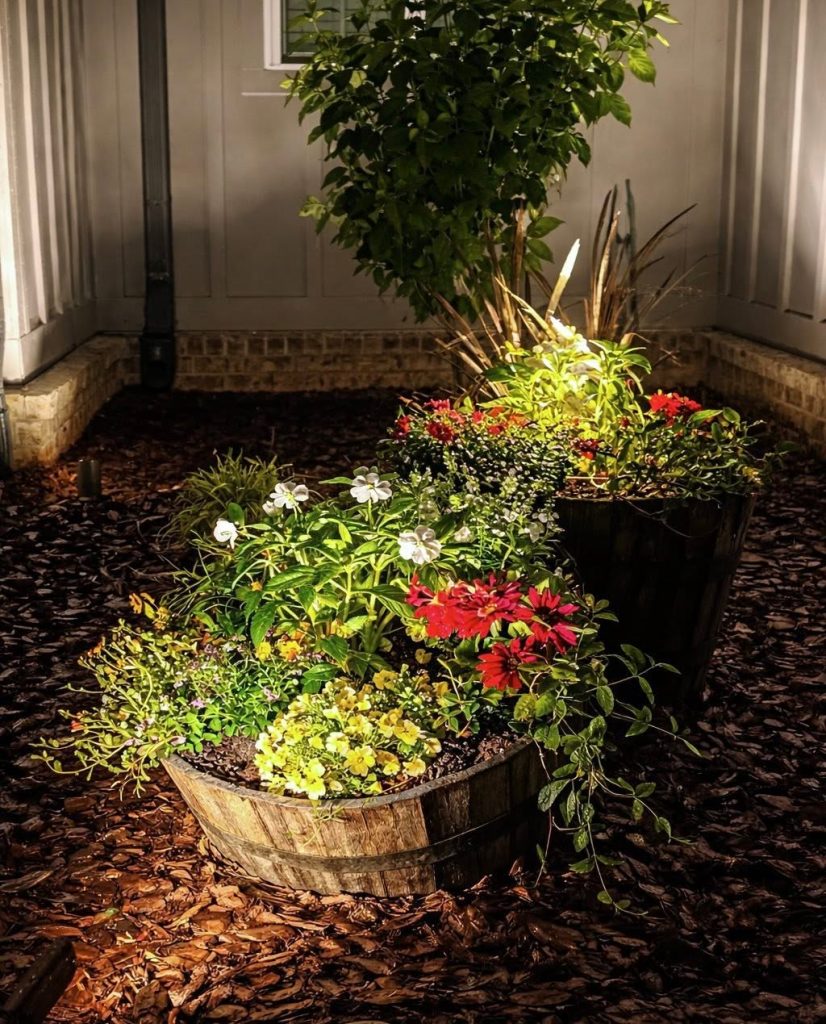 garden lighting